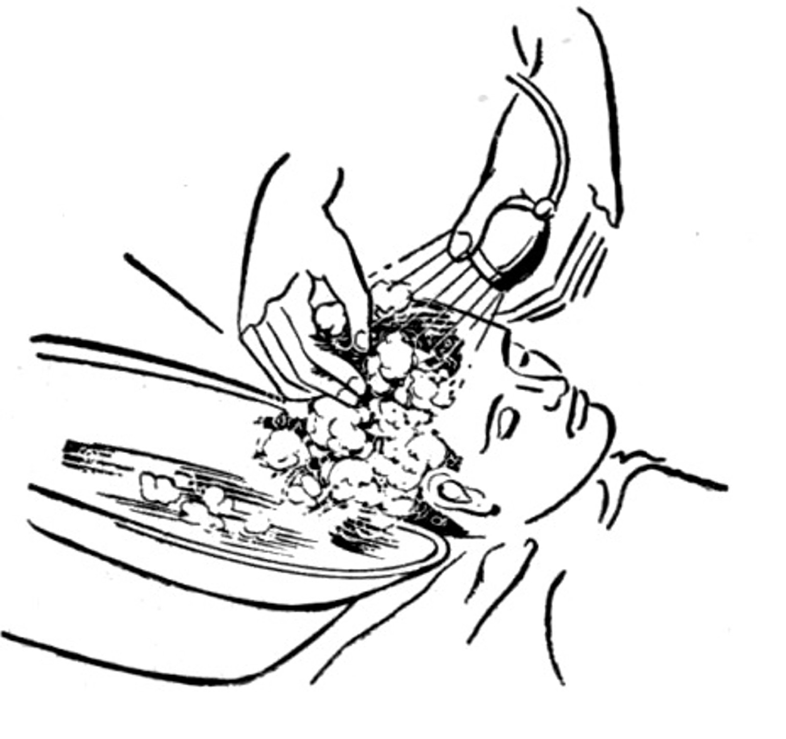 1536x1443 Vintage Pig Clip Art Vintage Shampoo Beauty Salon Clip Art Image