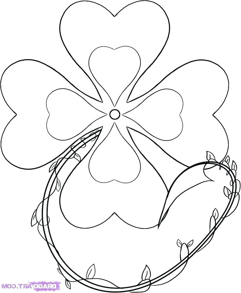 784x955 Pictures Of Shamrocks To Color How To Draw A Shamrock Step By Step