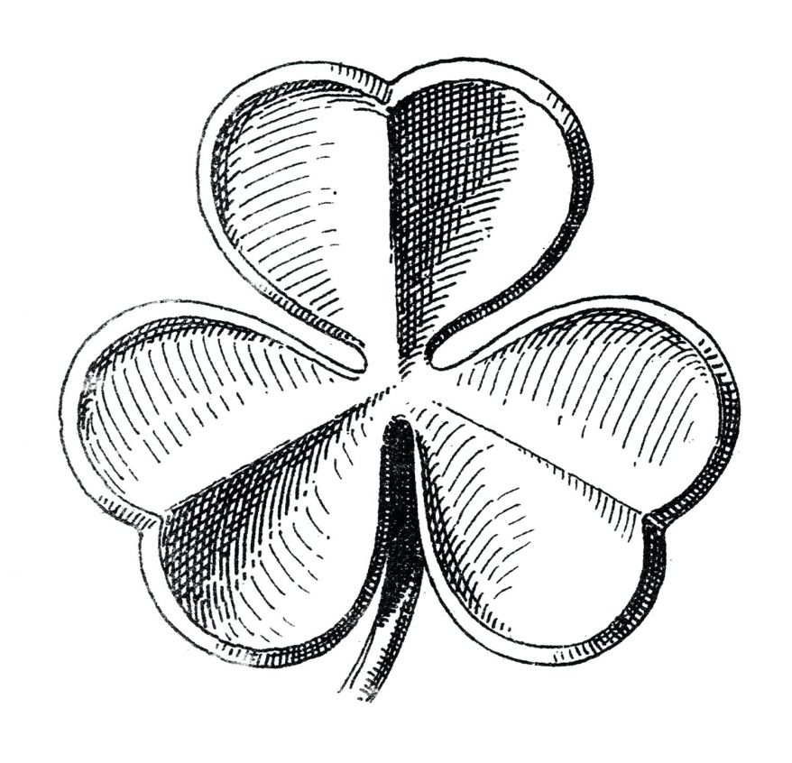 878x846 St The Early Missionary Free 65 Outstanding Picture Of Shamrock