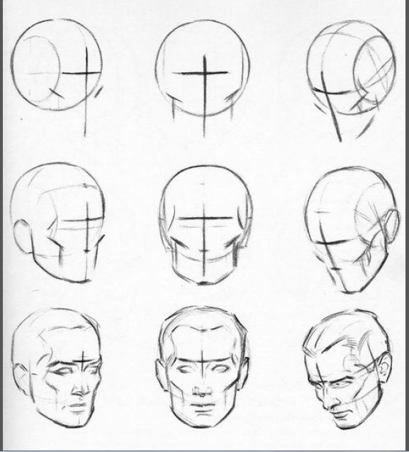 577x637 Head Construction And Shape Figureanatomy