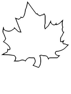 300x400 A Leaf