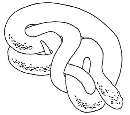 530x469 Basic Shapes And Forms