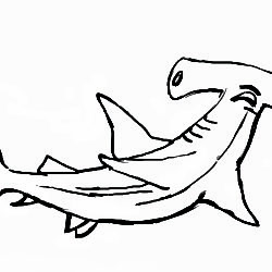 250x250 Shark Drawing, Pencil, Sketch, Colorful, Realistic Art Images