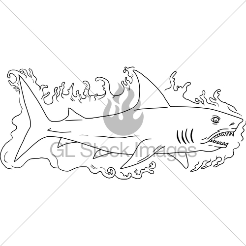 500x500 Shark Water Side Drawing Gl Stock Images