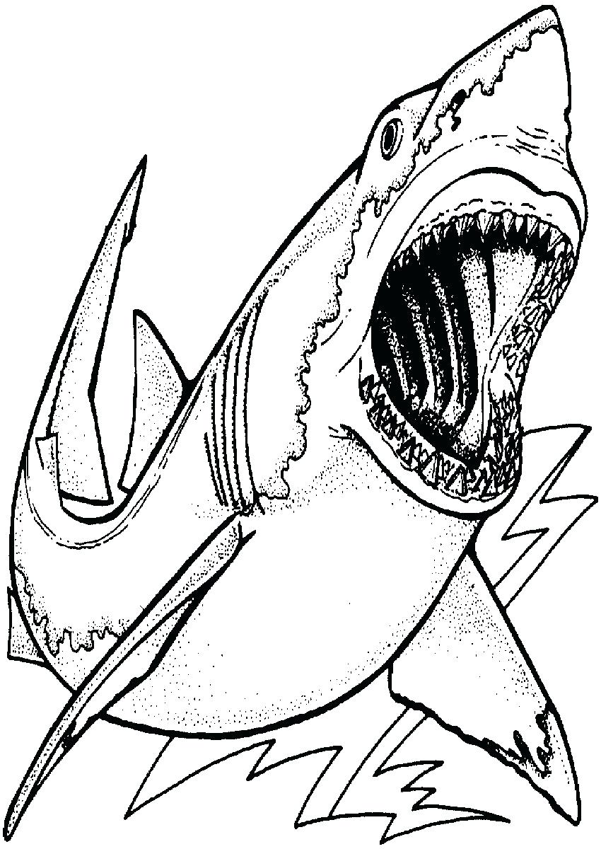 850x1200 Coloring Coloring Pages Shark Free Intended For Toddler