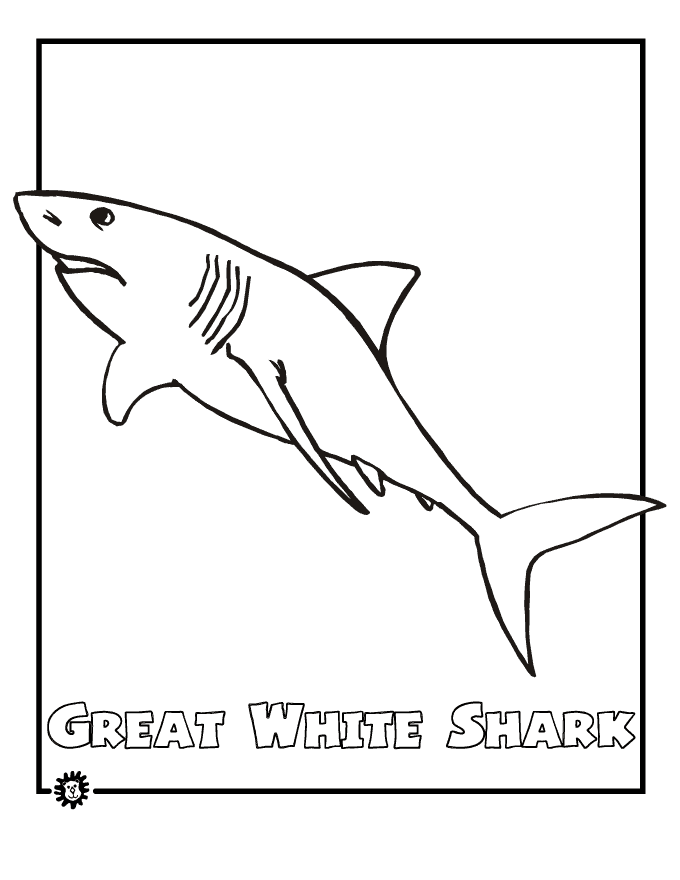 680x880 Easy Great White Shark Pictures To Color Coloring Pages Hellokids