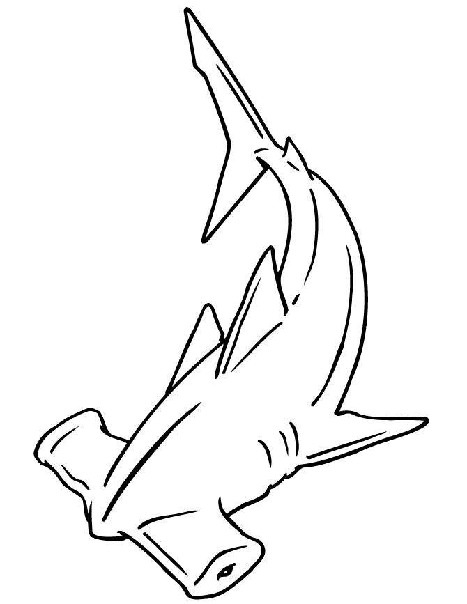 670x867 Hammerhead Shark Clipart Line Drawing
