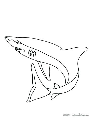 Shark Drawing For Kids at GetDrawings | Free download