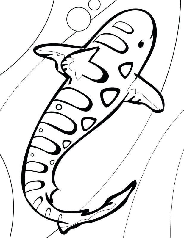 618x800 Sharks Carry Weapons Coloring Picture For Kids Shark Pages Print