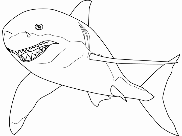 720x540 Coloring Page Of A Shark