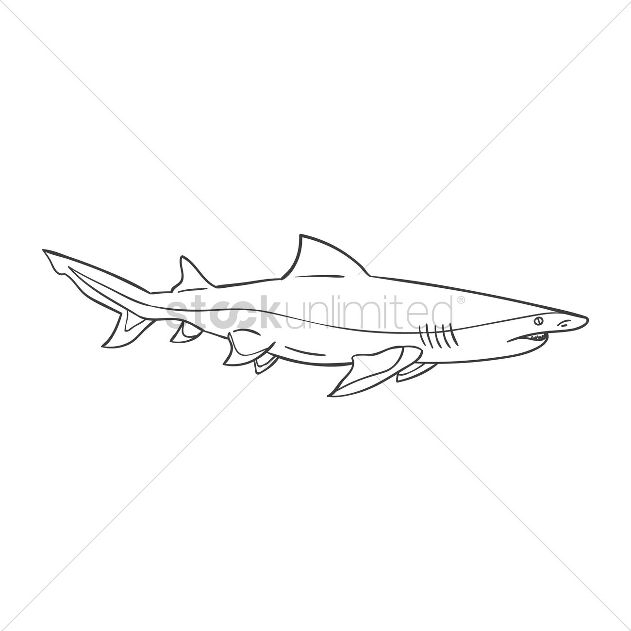 1300x1300 Mako Shark Vector Image