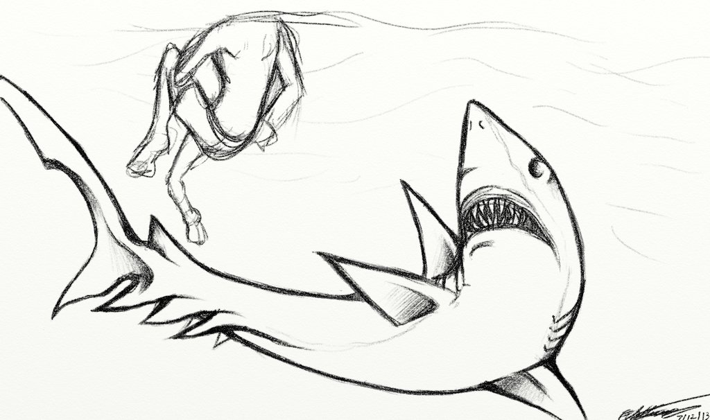 1024x606 Mutated Shark Sketch Or Something By Wtfpenguinsinamerica