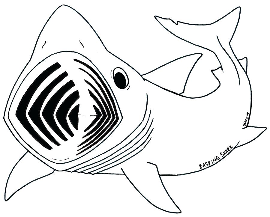900x724 Shark Picture To Color