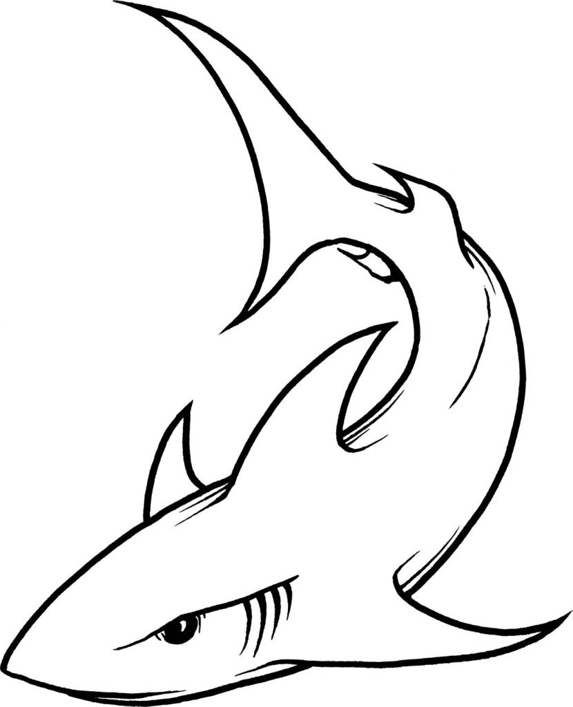 830x1024 How To Draw Sharks Shark Drawing Images Clipart Best