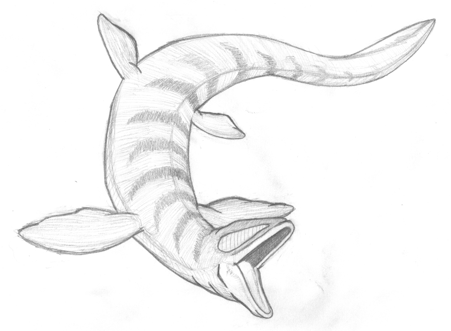 900x660 Nematode Mosasaur By Ashleyrussell