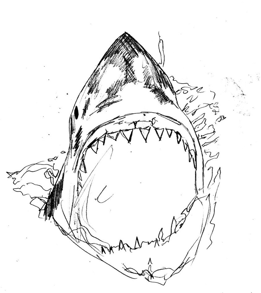 844x947 Killer Shark Drawing By Alexis Wright On Newgrounds