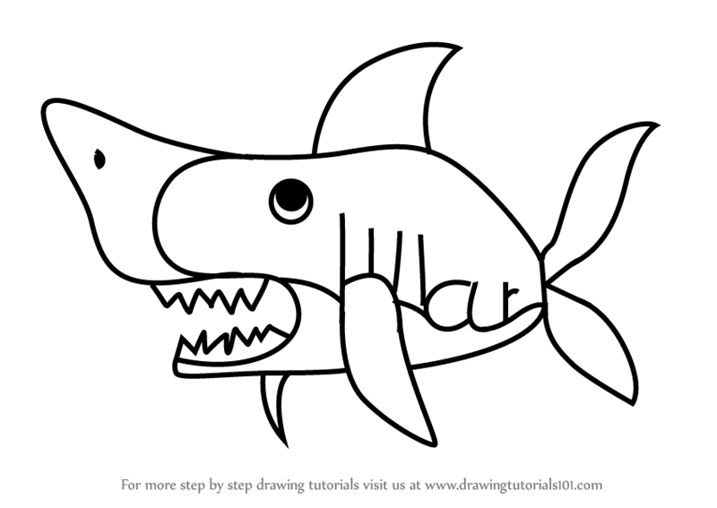 800x567 Learn How To Draw A Shark From Word Shark (Animals With Their