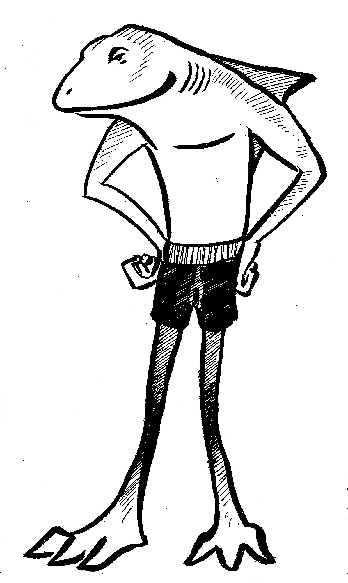 1196x2004 Best Of The Drawing Of The Day, Week 128 A Shark In A Swimsuit