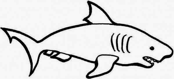 600x275 Fuffetto Simple Shark Drawing To Color