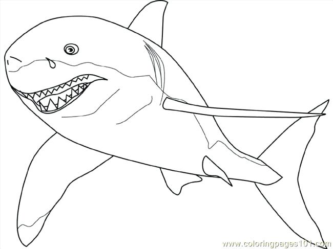 650x487 Great White Shark Coloring Pages And How To Draw A Great White