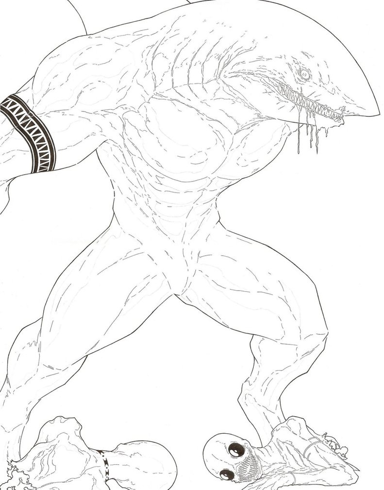 791x1010 Great White Shark Drawings Step Step