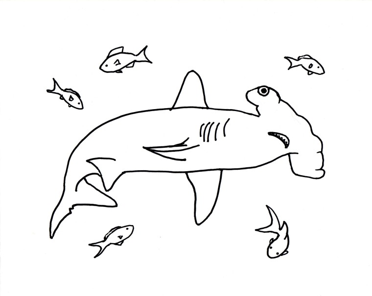 760x605 Hammerhead Shark Coloring Page