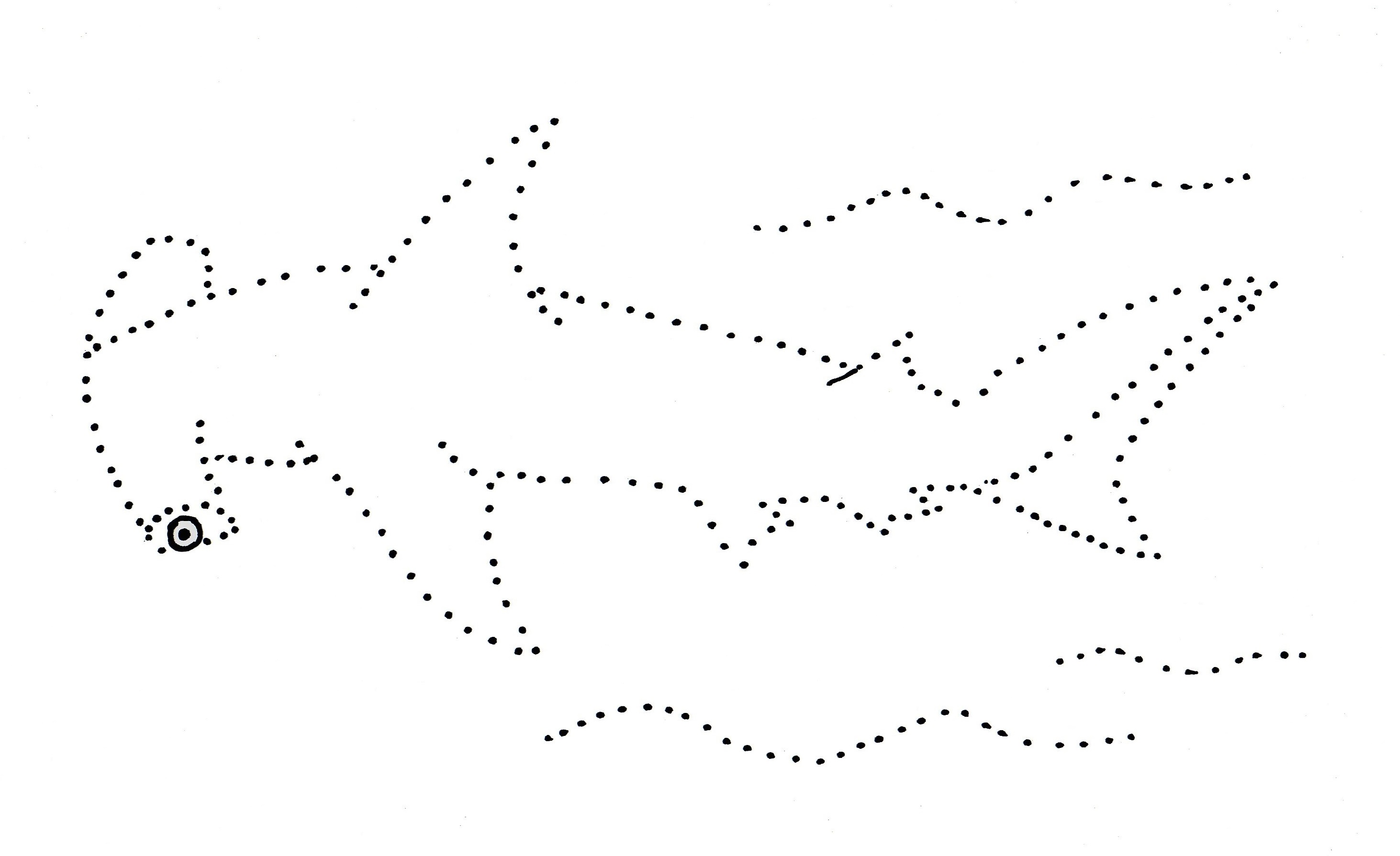2925x1789 Hammerhead Shark Dot Drawing