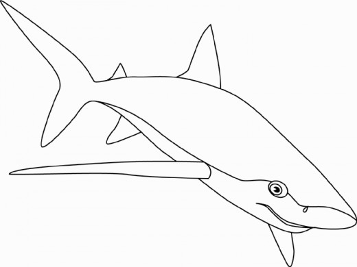520x390 Pictures Of Sharks For Kids To Color In Shark