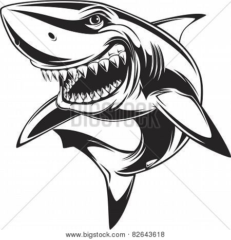 450x467 Image Cartoon Shark Face Images, Illustrations, Vectors