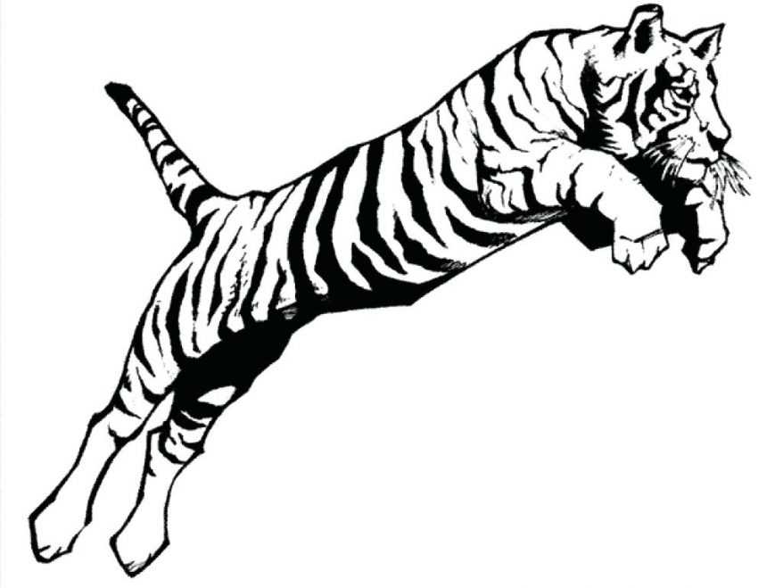 878x659 Coloring Page Of A Tiger 106 Terrific Sand Shark Tiger Coloring