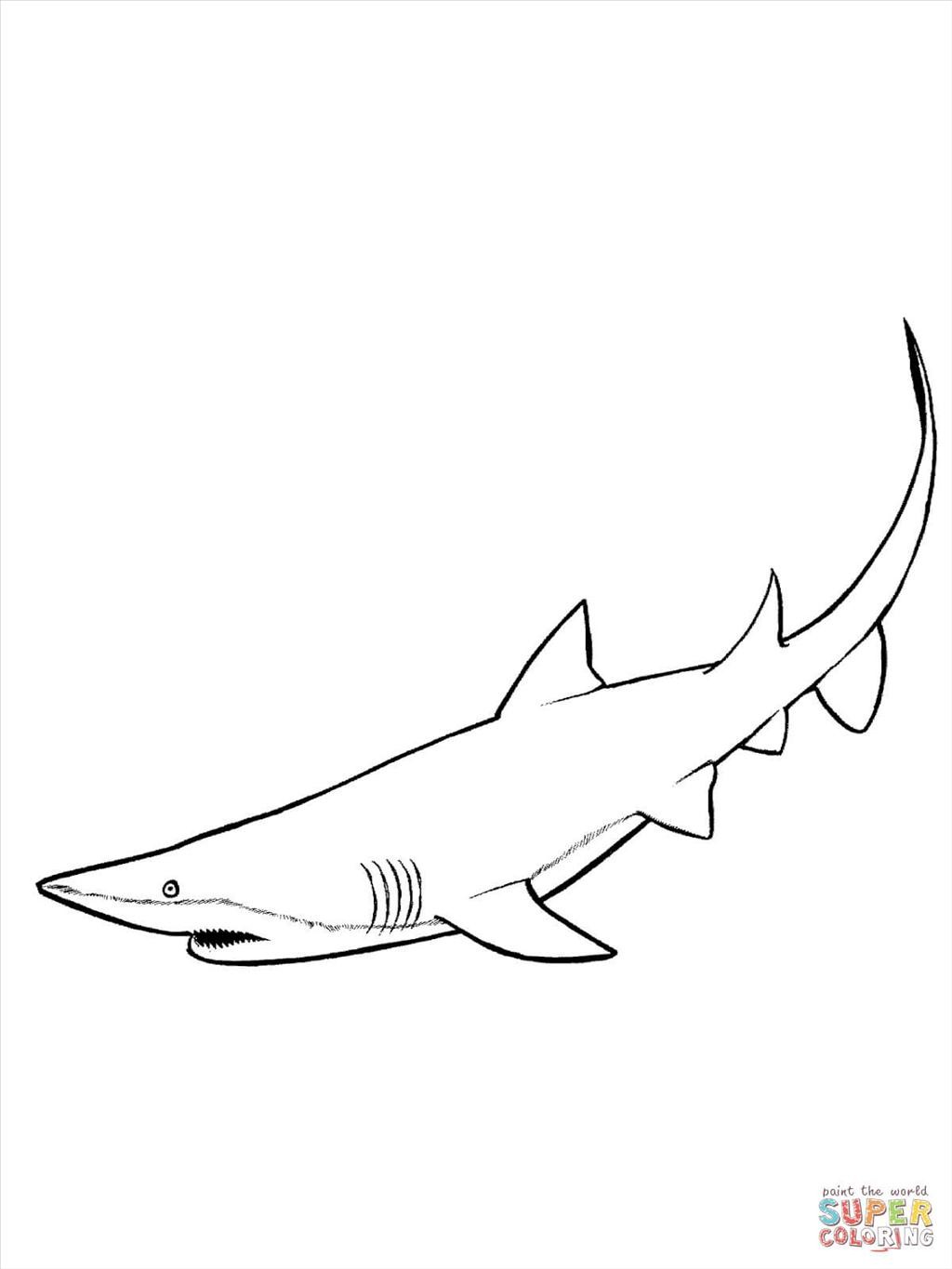 1024x1365 Good Shark Coloring Page Graphic Unknown Resolutions High