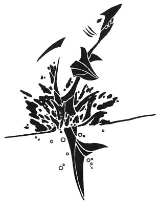 311x400 Shark Finning Needs To Stop Academic About Environment, Animals