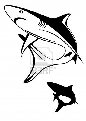 285x400 Shark Tattoo I Like This Shape Tattoos Shark