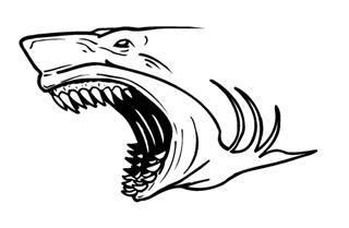 320x209 Shark Head 1 Decal Sticker