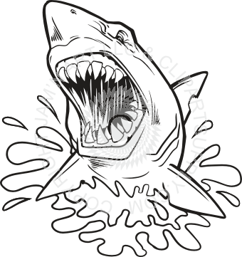 340x361 Leaping In Water