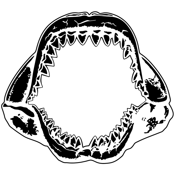 Shark Jaw Drawing at GetDrawings | Free download