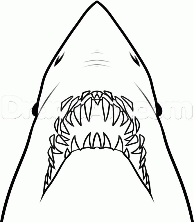 668x765 Drawn Shark Jaws Shark