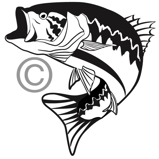 555x555 Large Mouth Shark Clipart Collection