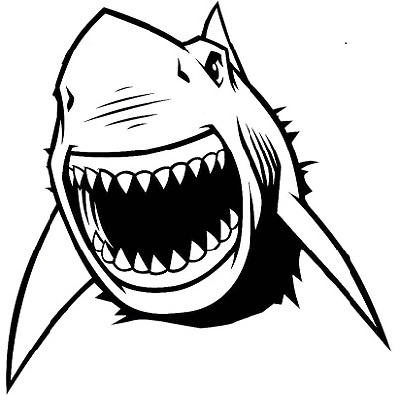 400x400 Wish Shark Fitness