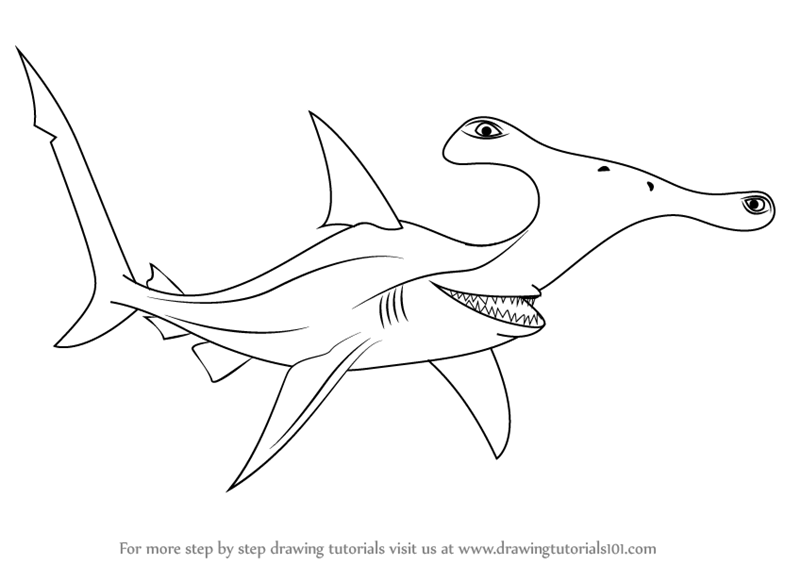 800x565 Learn How To Draw Anchor From Finding Nemo (Finding Nemo) Step By
