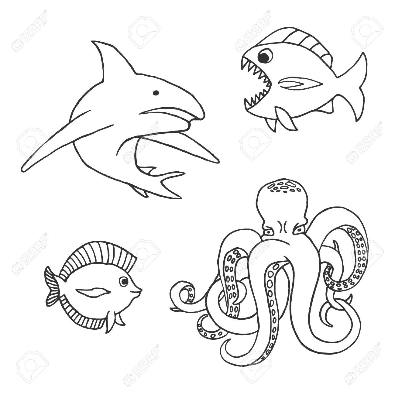 1300x1300 Set Of Marine Creatures. Shark, Octopus, Fish. Outline Vector