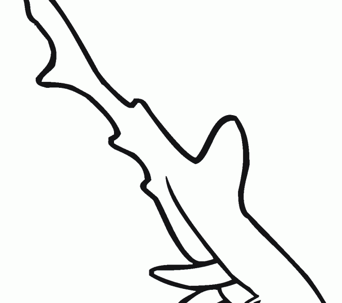 678x600 Tiger Shark Outline Kids Coloring