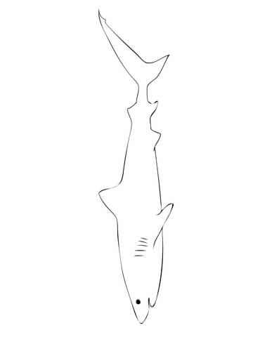 360x480 Tiger Shark Outline Coloring Page Free Printable Coloring Pages
