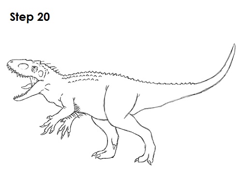 500x386 How To Draw A Dinosaur From Jurassic World For Kids Shark Drawing