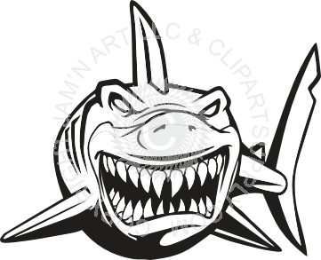 Shark Pictures Drawing