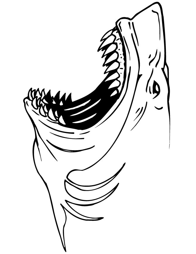 670x867 Shark Coloring Pages
