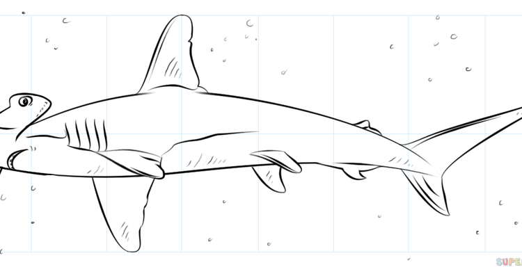 750x384 Shark Drawings Step By Step How To Draw A Hammerhead Shark Step