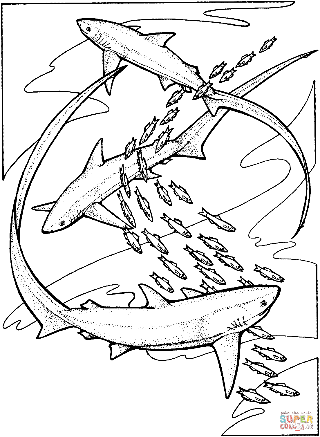 1103x1506 Coloring Pages Delightful Sharks Coloring Pages Drawing Shark