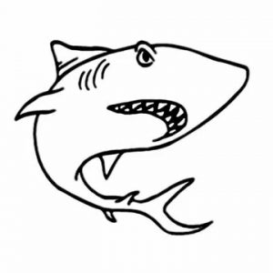 300x300 Shark Sea Creatures And Animal Drawing How To Draw A Shark Adult