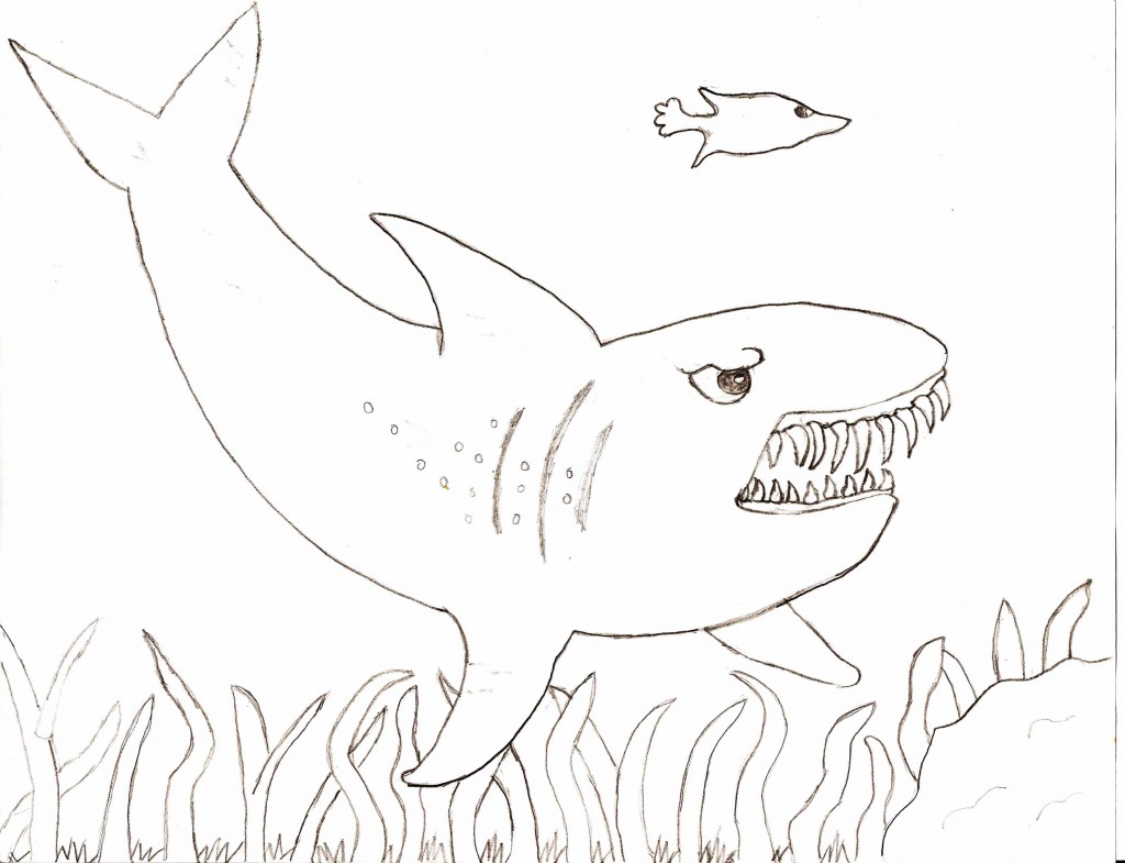 1024x785 Drawn Tiger Shark Colouring Page